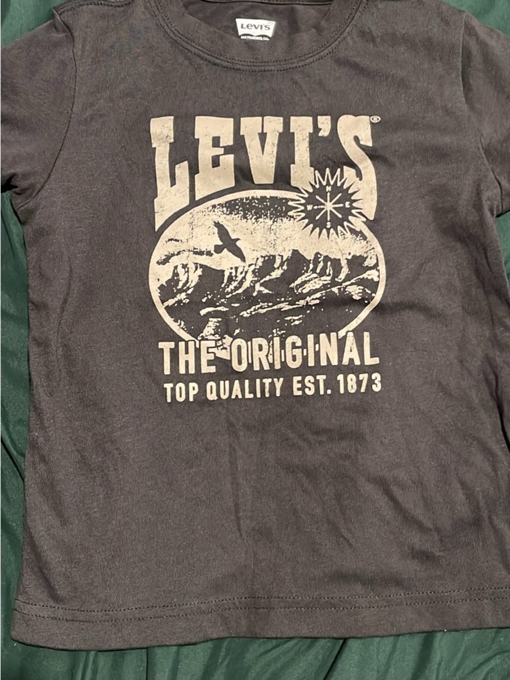 Levi’s Boy T Shirt